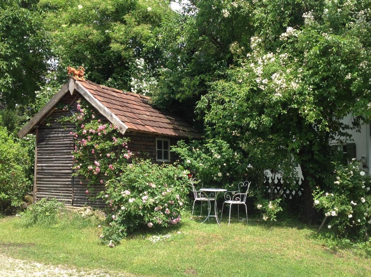 Haus Probst Am See Bed & Breakfast Schondorf am Ammersee Dış mekan fotoğraf