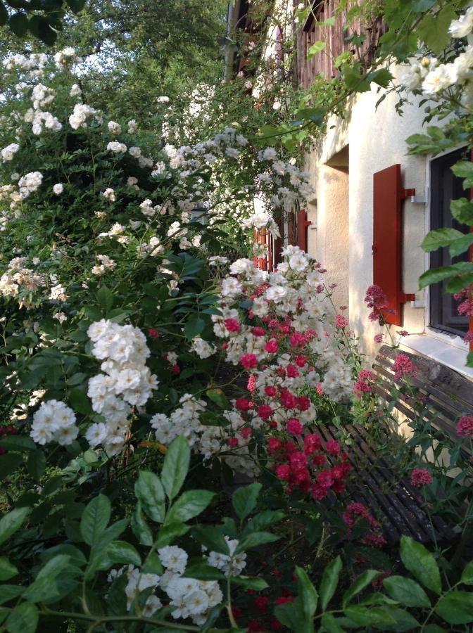 Haus Probst Am See Bed & Breakfast Schondorf am Ammersee Dış mekan fotoğraf