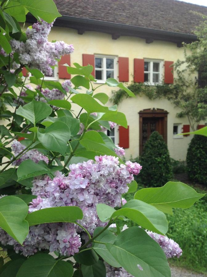 Haus Probst Am See Bed & Breakfast Schondorf am Ammersee Dış mekan fotoğraf