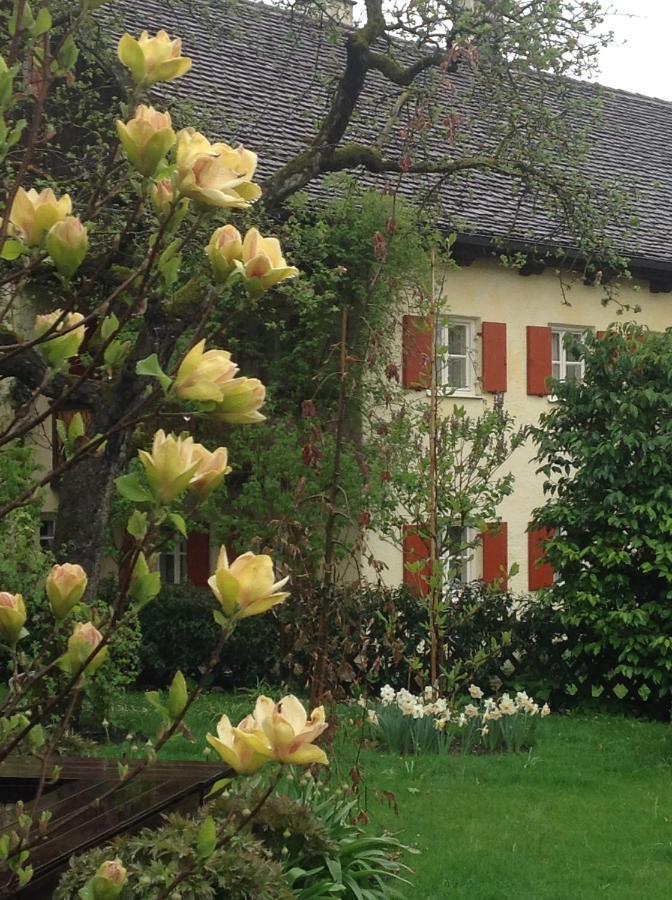 Haus Probst Am See Bed & Breakfast Schondorf am Ammersee Dış mekan fotoğraf
