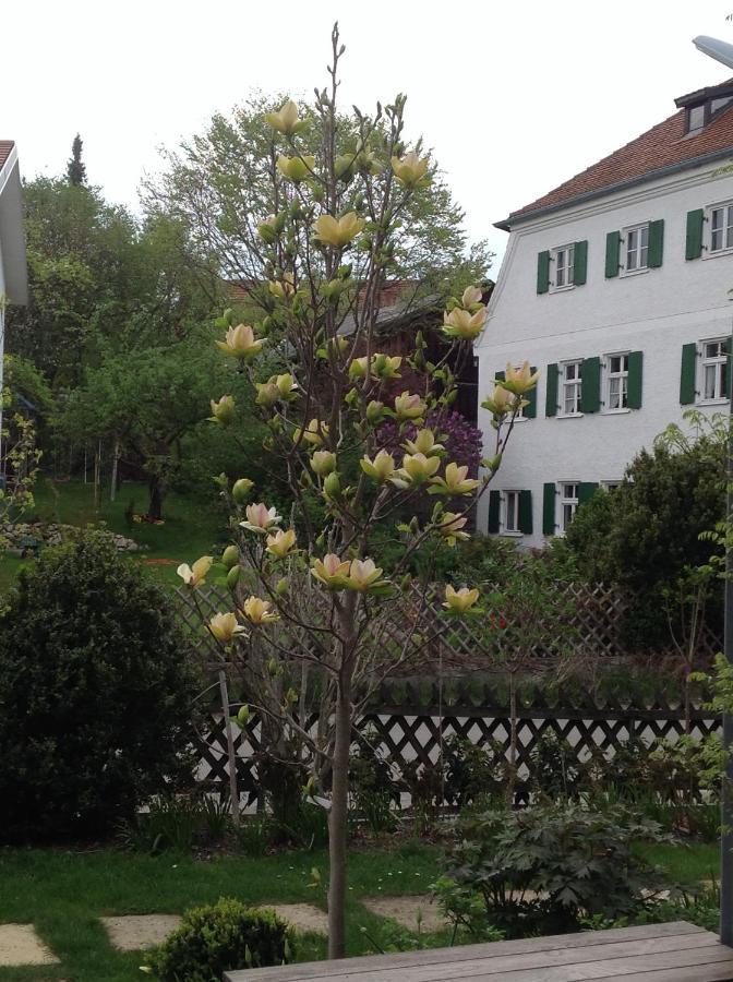 Haus Probst Am See Bed & Breakfast Schondorf am Ammersee Dış mekan fotoğraf