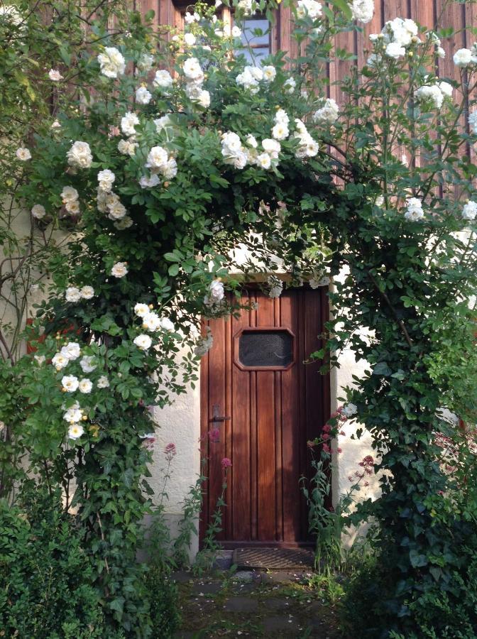Haus Probst Am See Bed & Breakfast Schondorf am Ammersee Dış mekan fotoğraf